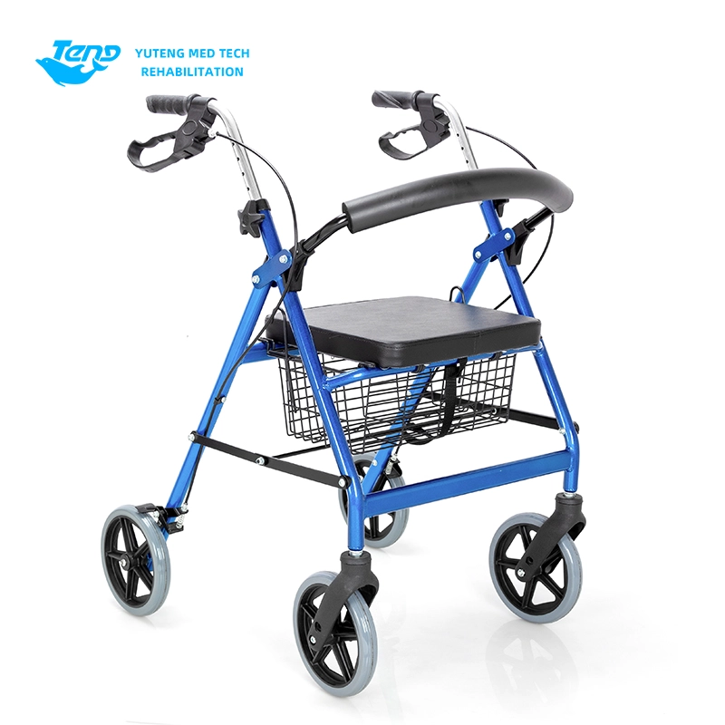 Seistes Walker puuetega